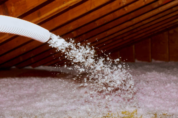 Trusted Pensacola Station, FL Insulation Contractor Experts
