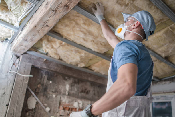 Types of Insulation We Offer in Pensacola Station, FL
